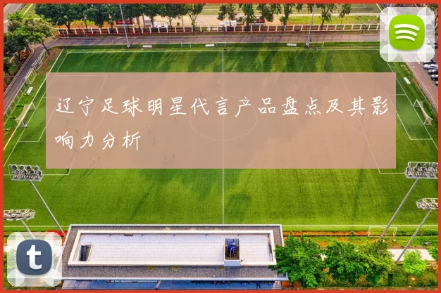 辽宁足球明星代言产品盘点及其影响力分析