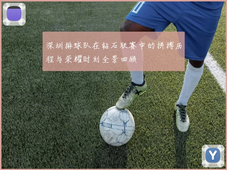 深圳排球队在钻石联赛中的拼搏历程与荣耀时刻全景回顾
