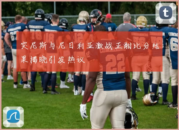 突尼斯与尼日利亚激战正酣比分结果揭晓引发热议