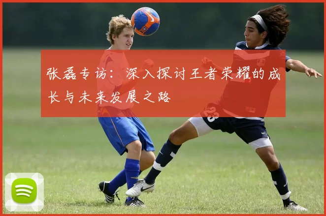 张磊专访：深入探讨王者荣耀的成长与未来发展之路