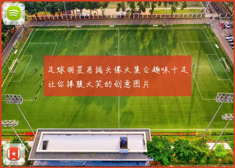 足球明星恶搞头像大集合趣味十足让你捧腹大笑的创意图片