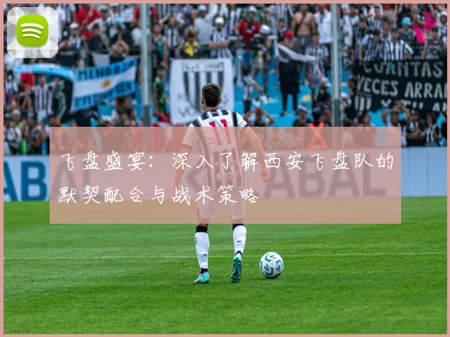 飞盘盛宴：深入了解西安飞盘队的默契配合与战术策略