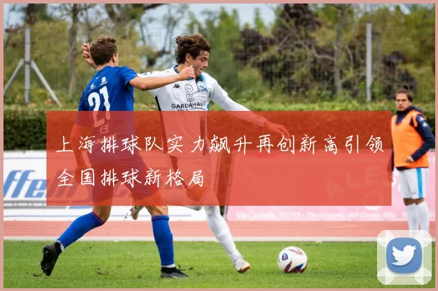 上海排球队实力飙升再创新高引领全国排球新格局