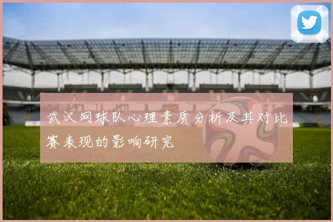 武汉网球队心理素质分析及其对比赛表现的影响研究
