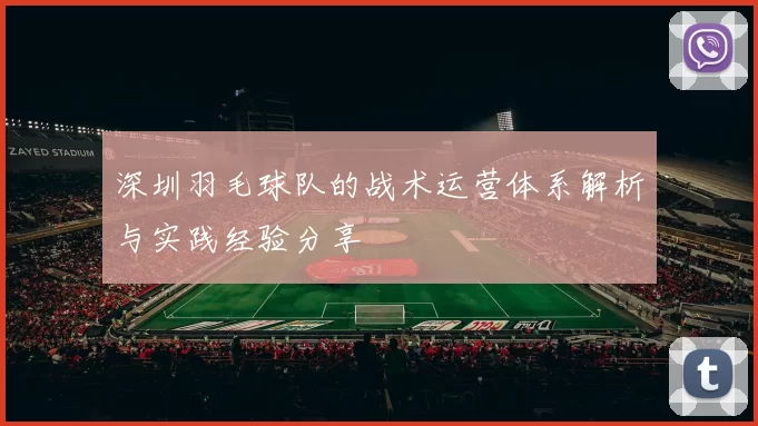 深圳羽毛球队的战术运营体系解析与实践经验分享
