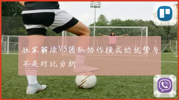 独家解读V5团队协作模式的优势与不足对比分析
