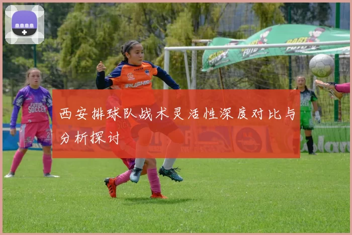 西安排球队战术灵活性深度对比与分析探讨