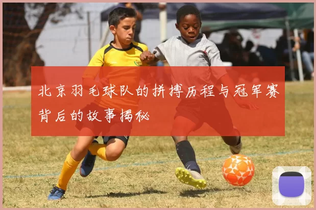 北京羽毛球队的拼搏历程与冠军赛背后的故事揭秘