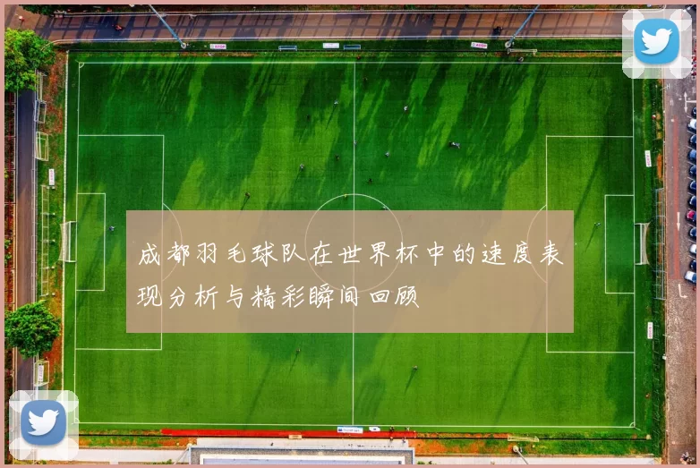 成都羽毛球队在世界杯中的速度表现分析与精彩瞬间回顾