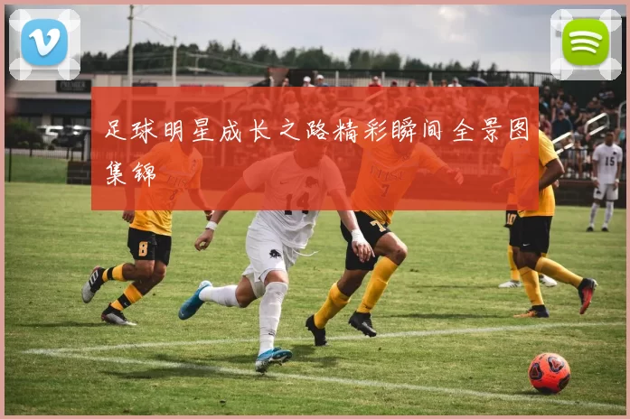 足球明星成长之路精彩瞬间全景图集锦