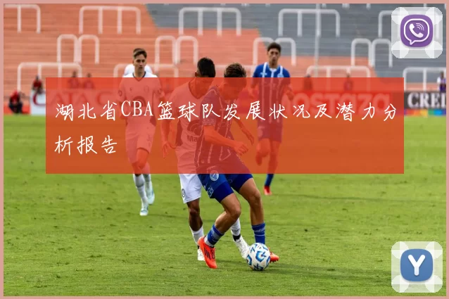 湖北省CBA篮球队发展状况及潜力分析报告